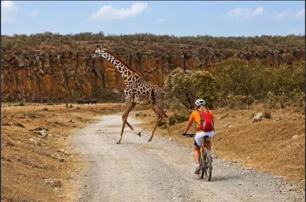 Hell’s Gate National Park: Cycling, Gorge Walk, and Tips for Visitors